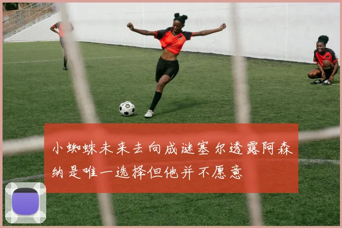 小蜘蛛未来去向成谜塞尔透露阿森纳是唯一选择但他并不愿意